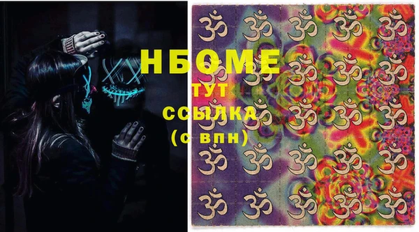шишки Абаза