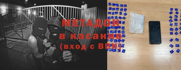 шишки Абаза