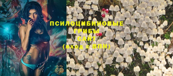шишки Абаза