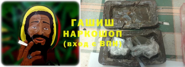 шишки Абаза