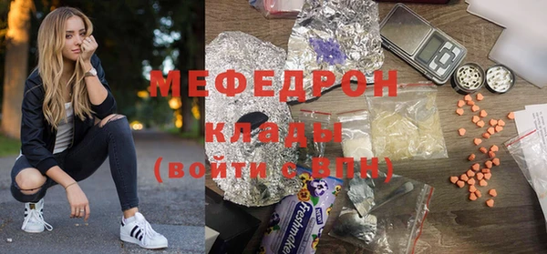 шишки Абаза