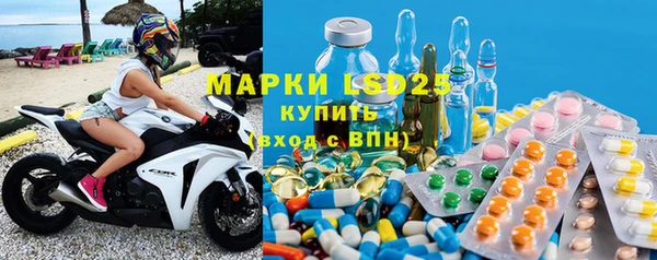 шишки Абаза