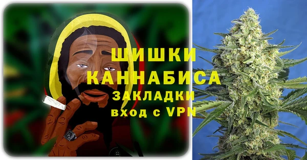 шишки Абаза