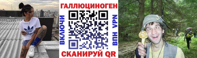 Псилоцибиновые грибы прущие грибы  мега онион  Благодарный  что такое  