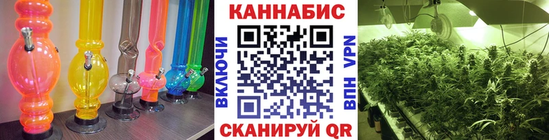 Шишки марихуана VHQ  Благодарный 